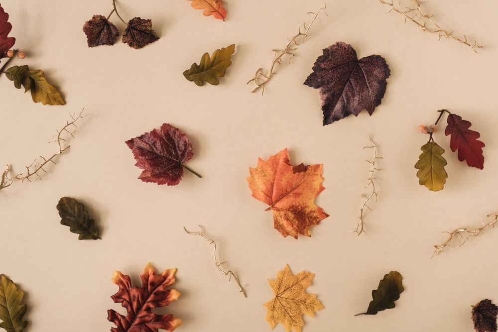Fall leaves and gold branches on sand pastel background