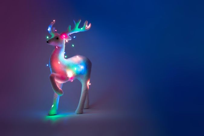 Reindeer with festive lights on lit blue dark background