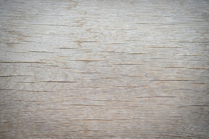 Close up old wood texture