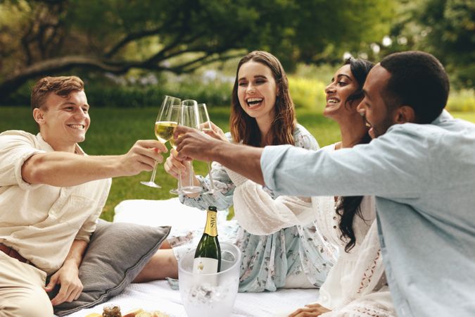 Young people toasting champagne flutes while sitting at park