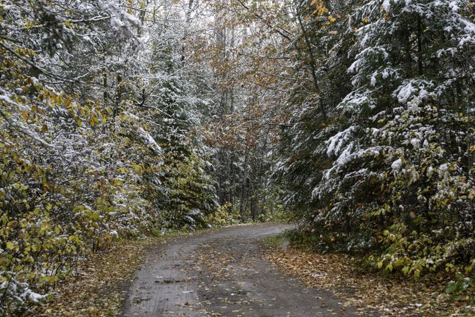 First snow and fall foliage at Savanna Portage State Park in McGregor, Minnesota