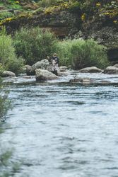 Confident man fishing with rod while standing in river stream