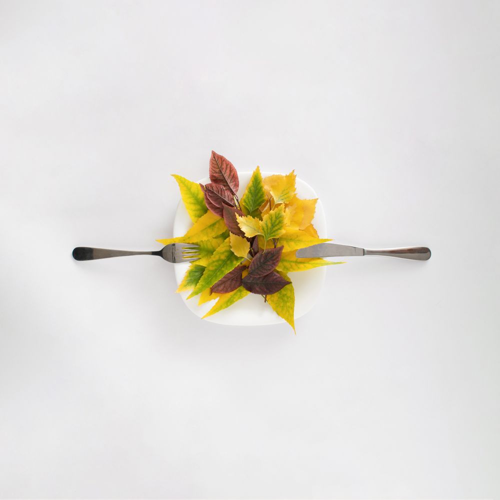 Pile of leaves on plate with knife and fork with copy space