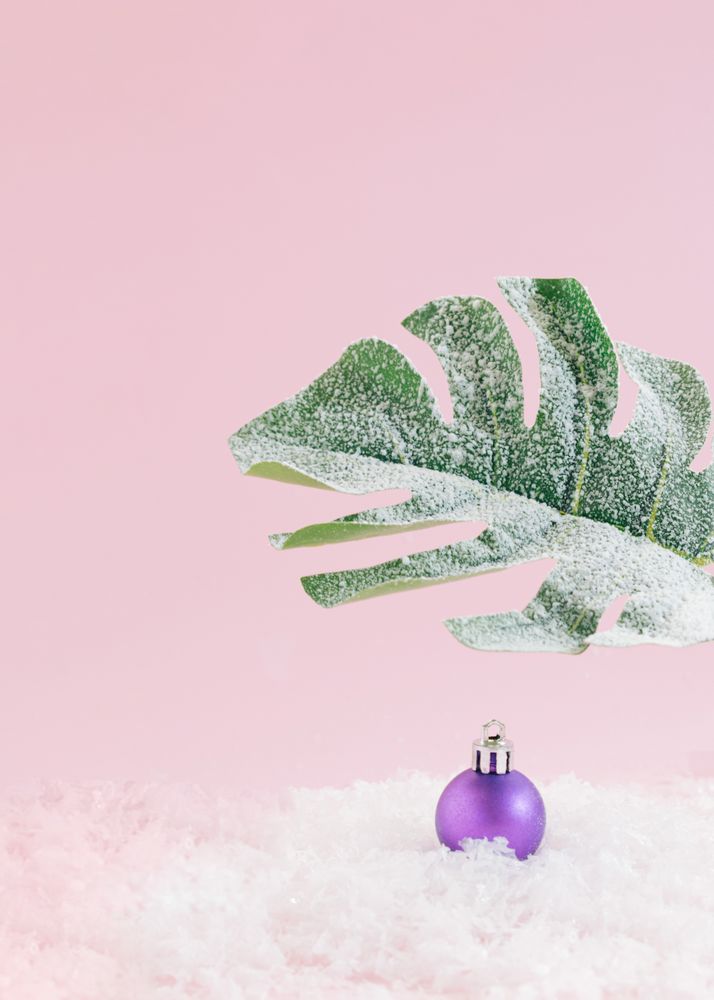 Christmas tree idea with snowy tropical leaf with ornaments sitting in snow