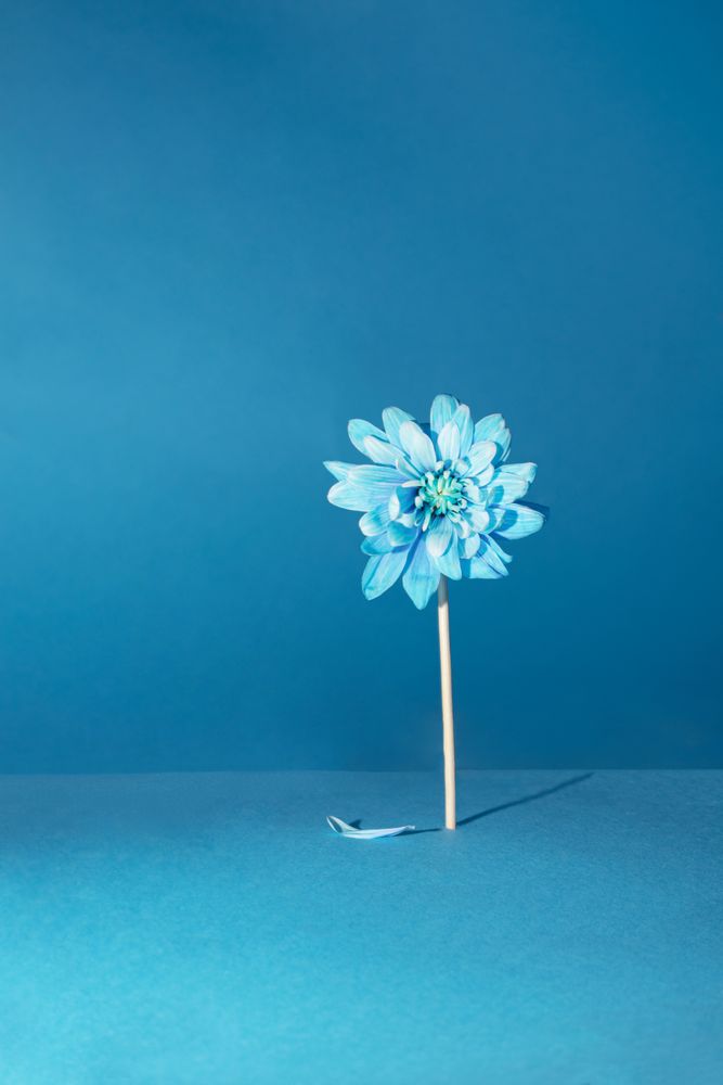 Nature performing concept idea design