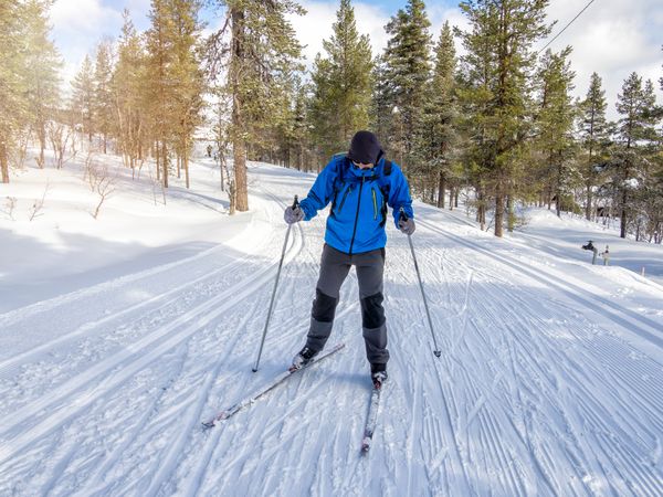 Person cross country skiing in forest
