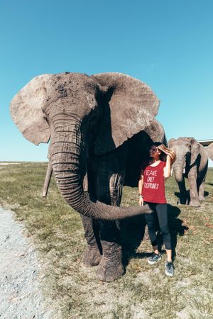 Woman standing beside elephant