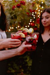 Group of cheerful friends clinking glasses at party