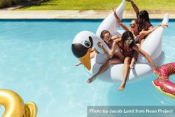 Group of females sitting together on inflatable swan in swimming pool 0V8Av4