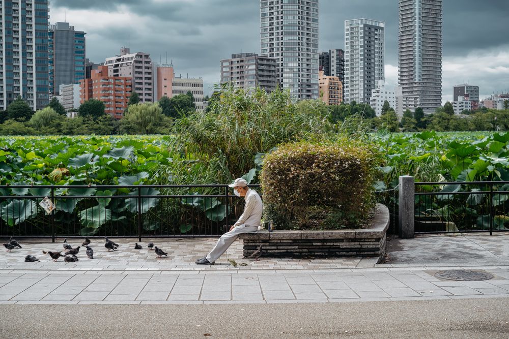 Side view of a man sitting on a bench on a pavement in Tokyo, Japan