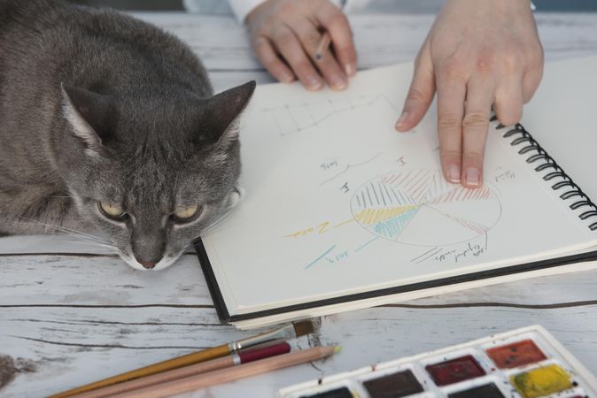 Person drawing pivot tables on notebook while cat lying beside