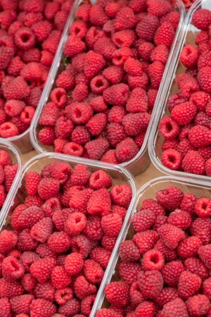 Red raspberry in plastic container