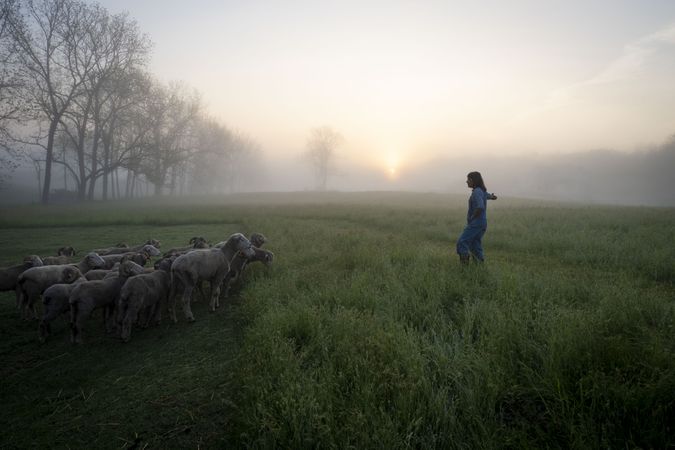 Female shepherd in the early morning light on a farm