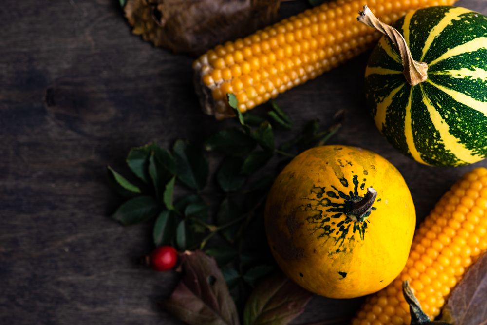 Top view of mini squashes and corn with autumn leaves on wooden table