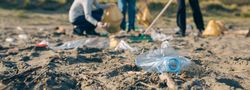 Older volunteers cleaning the beach