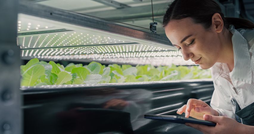 Female Biology Scientist Closely Inspecting and Analyzing Young Growing Crops. Farming Engineer Using Tablet Computer and Working in Vertical Farm Next to Rack with Natural Eco Plants