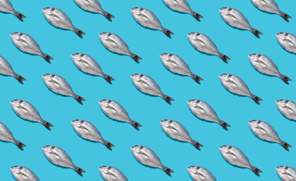 Seamless fish pattern
