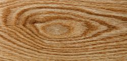Red oak floor with knot pattern in home floor board