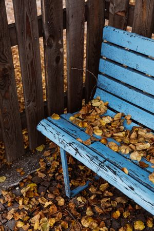 Blue wooden seat and fence with autumn leafage