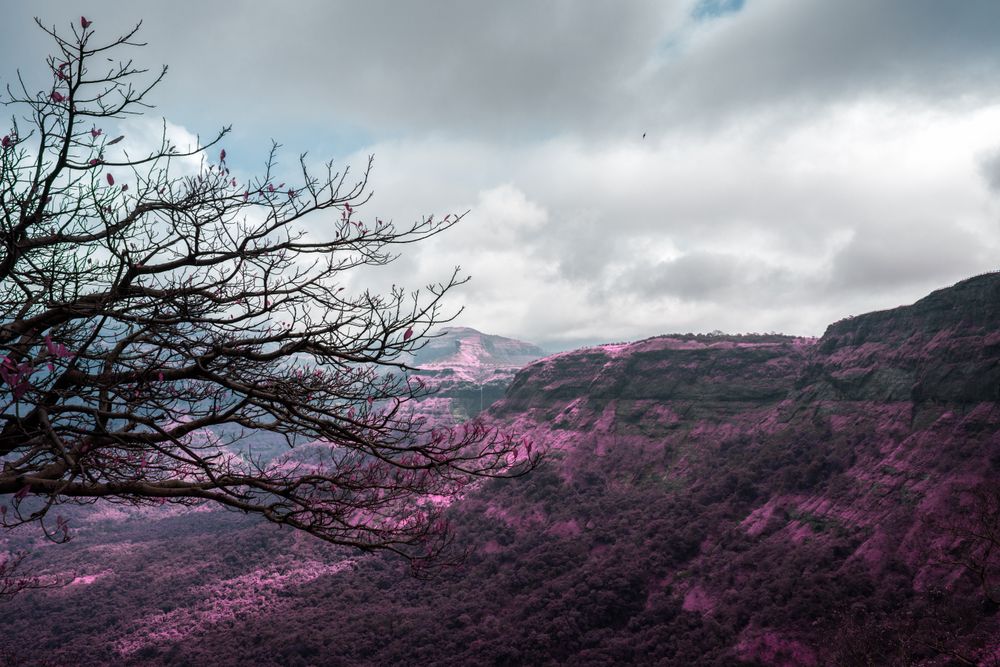 Beautiful infrared landscape of the green hills and valleys at Malshej Ghat in Maharashtra, India