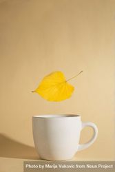 Autumn yellow leaf floating above a cup 4dNPn0