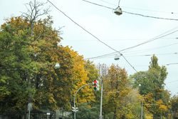 Rainy, autumn, city park in the morning