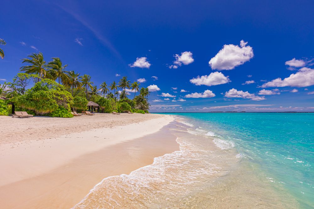 Tropical beach waterfront under a blue sky