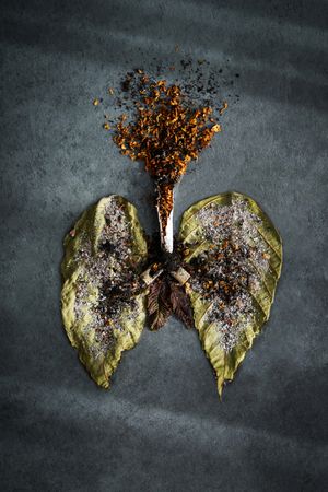 Smoking causes lung cancer and diseases