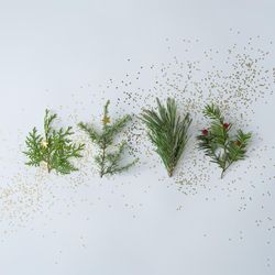 Holiday pine tree branches with glitter in a row on a light background
