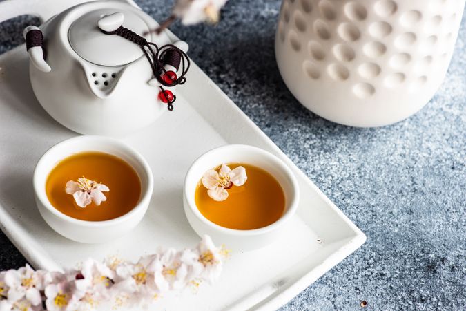Spring floral concept with light pink apricot blossom surrounding tea set on trey
