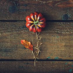 Flower concept made of pumpkin and autumn yellow leaf