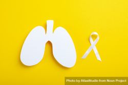 Lung shape with ribbon on yellow background 4dRBL0