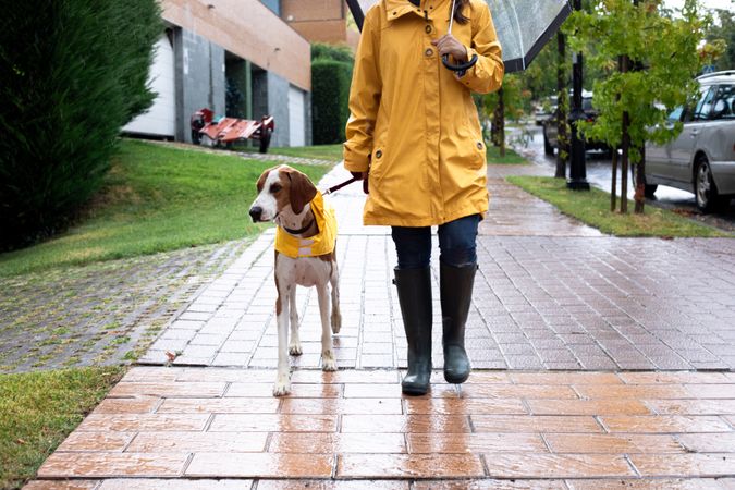 Woman walking with dog in cloak in street