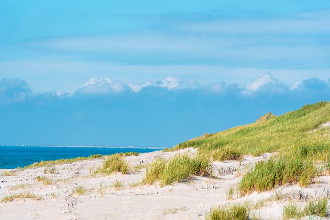 Landscape on Sylt island with marram grass dunes and a blue sky