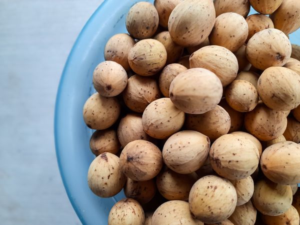 Fresh Duku Fruit in a Bowl