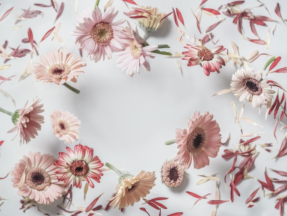Floral frame made with flying flowers