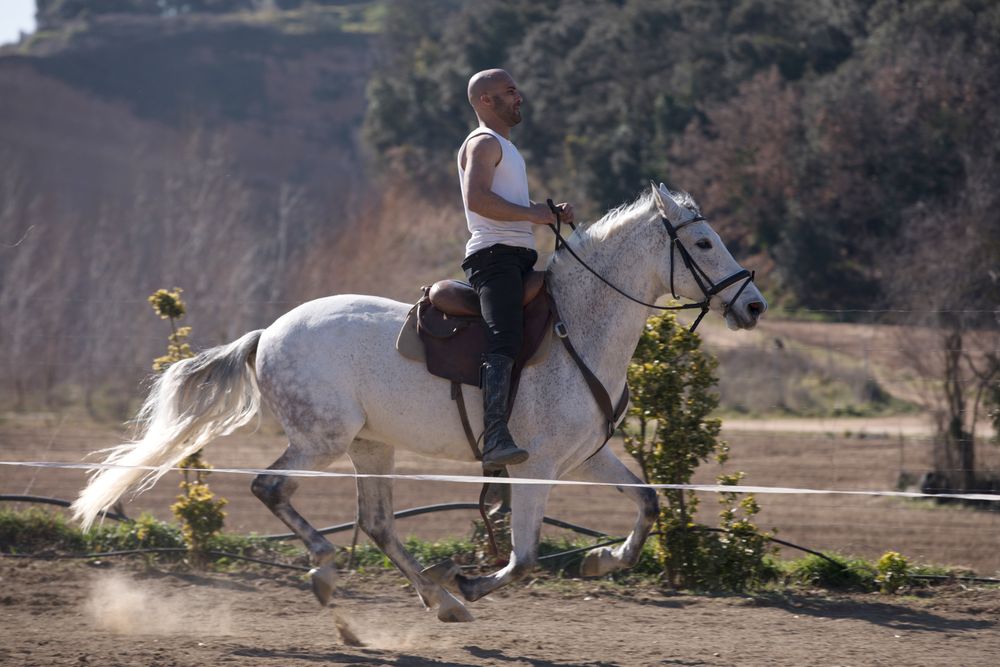 Man riding horse around paddock on sunny day
