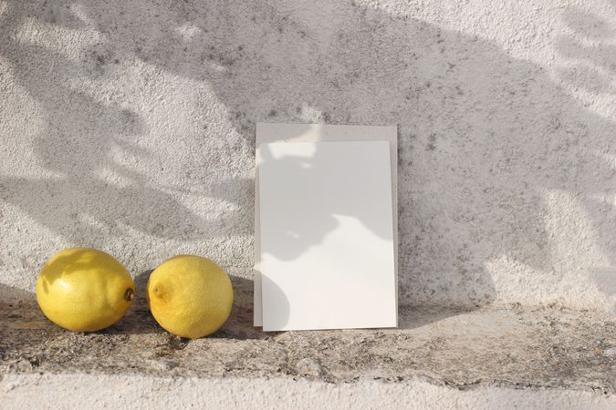 Blank greeting card invitation mockup in sunlight, floral foliage shadows overlay with fresh lemons