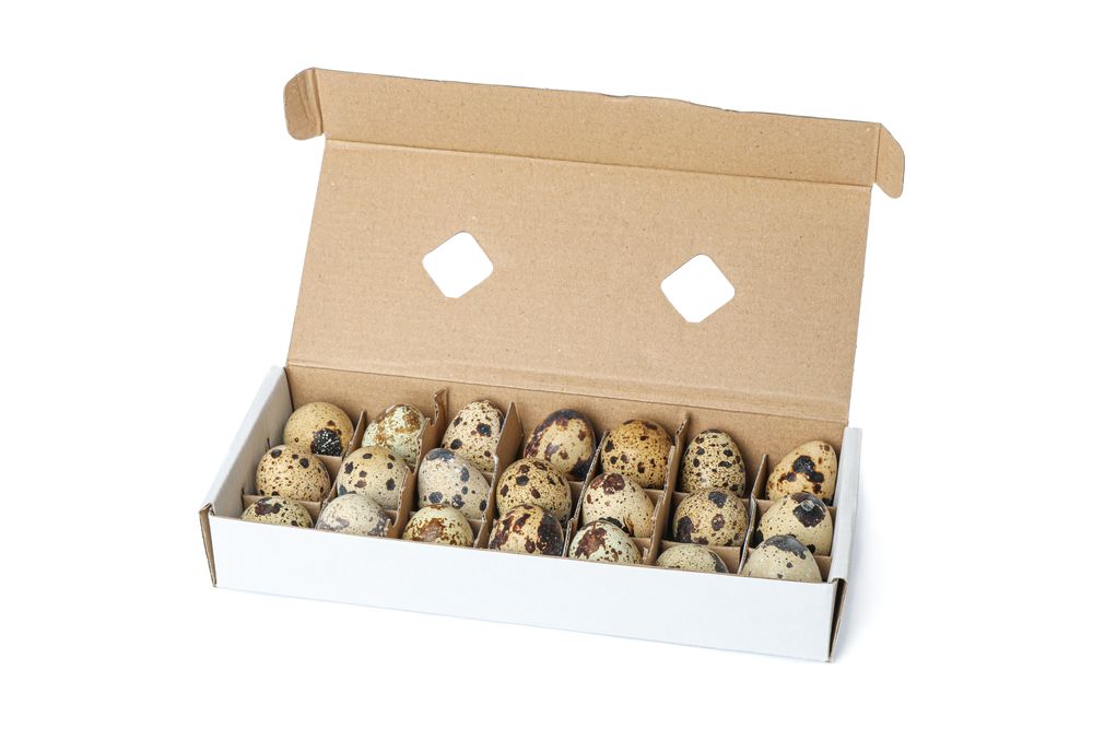 Quail eggs in carton box isolated on light background