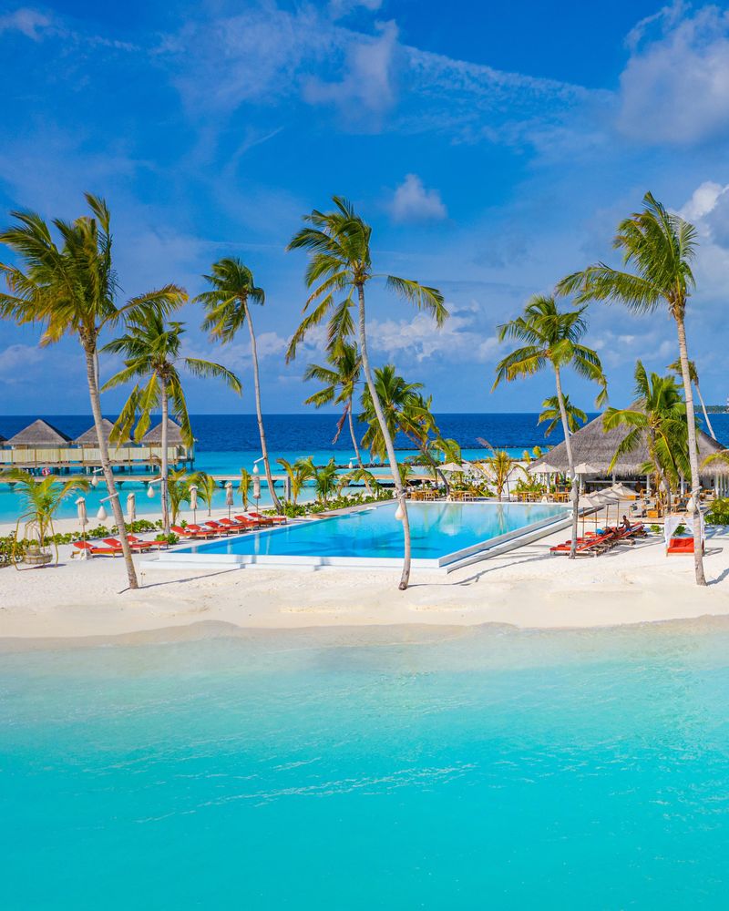 Pool surrounded by palm trees on tropical beach resort