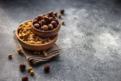 Two bowls of blanched and unblanched hazelnuts