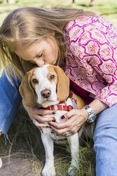 Blond woman kissing her Beagle dog while he is looking at camera at the park