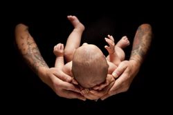 Hands of Father and Mother Hold Newborn Baby