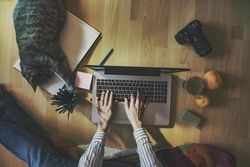 Person sitting on the floor using laptop while cat sleeping near