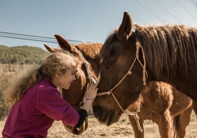 Woman taking care of horse