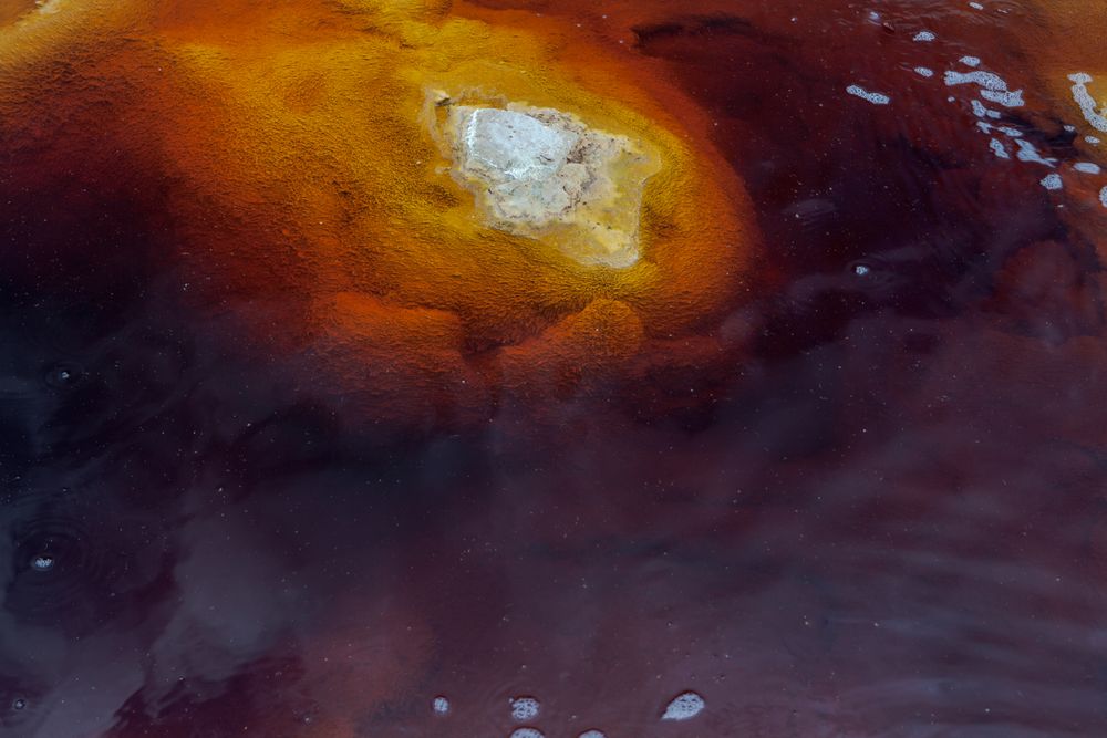 Bright orange splashes in nature