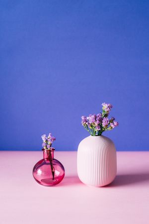 Violet sea lavender flowers in a pink and blue background