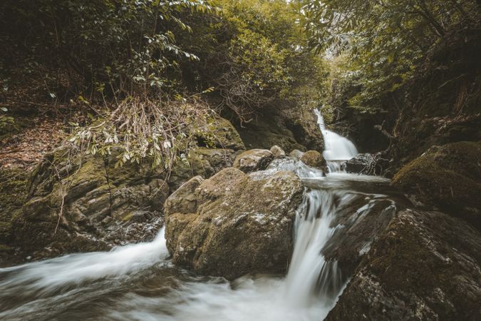 Raging river flowing through old forest