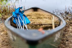 canoe containing harvested wild rice at Rice Lake NWR in Aitkin County, Minnesota