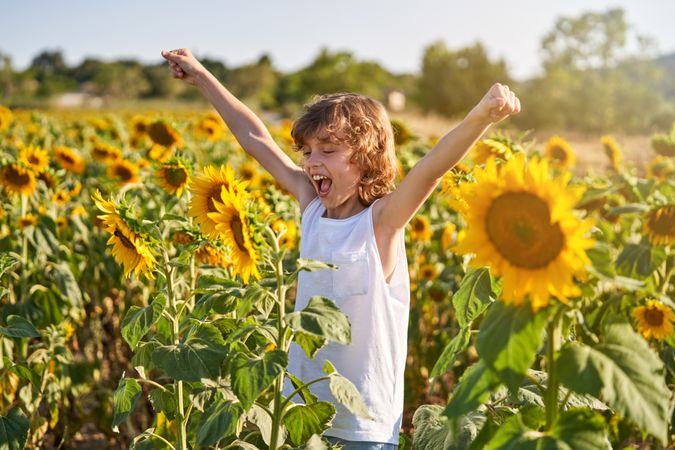 Cheerful boy raising arms in sunflower field